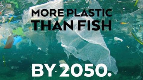 Petition · Ban All Single Use Plastics Australia ·