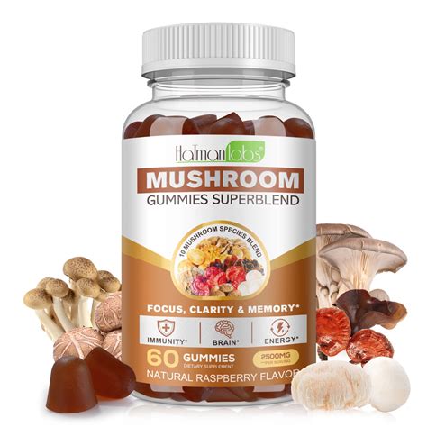 Lions Mane Mushroom Supplement Gummies In Organic Mushroom Gummy