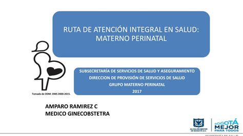 PDF RUTA DE ATENCIÓN INTEGRAL EN SALUD Reducción de la