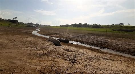 Mudan A Clim Tica Foi Principal Causa Da Seca Hist Rica Da Amaz Nia Em