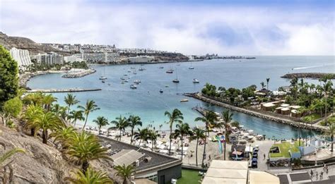 Gran Canaria Shark Alert Warning As Shark Swims Just Metres From Beach