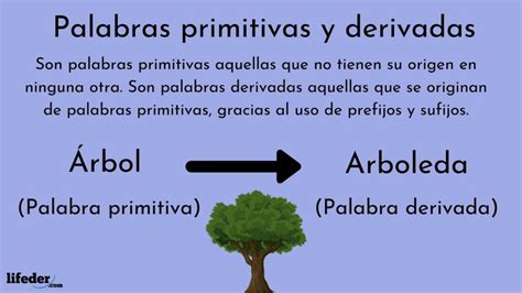 Palabras Primitivas Y Derivadas Cuáles Son Y 100 Ejemplos Fáciles