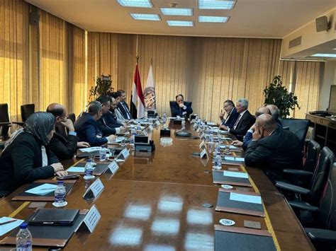 egypt committed  tax policy stability  encourage local foreign
