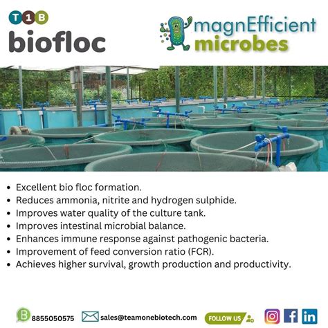 Aquatic Probiotic For Biofloc Aquaculture Packaging Type Packet