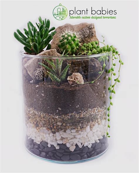 Pin By Roseli Capelesso On Mini Jardins Plants Planter Pots Terrarium