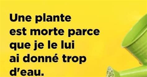 Une Plante Blagues Et Les Meilleures Images Dr Les