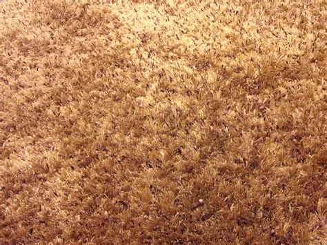 Brown Carpet A Fabulous Light Brown Shaggy Carpet Handmade Will Become