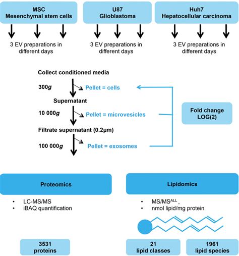 Highresolution Proteomic And Lipidomic Analysis Of Exosomes And