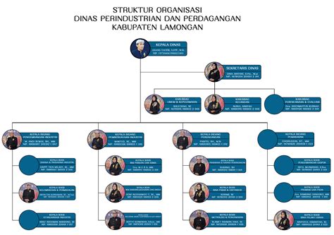 Struktur Organisasi Dinas Perindustrian Dan Perdagangan Kabupaten