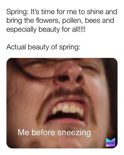 These Memes Are Just As Bad As Your Allergies 29 Pics