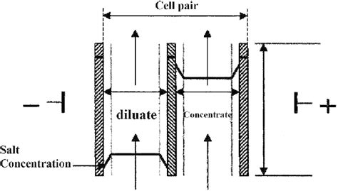 Schematic Diagram Of One Cell Pair Electrodialysis 2 Download