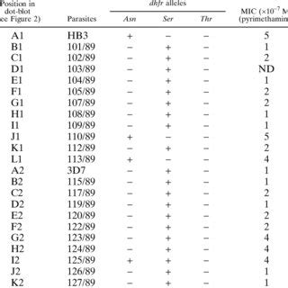 Dihydrofolate Reductase Dhfr Alleles Among 32 Plasmodium Falci Parum