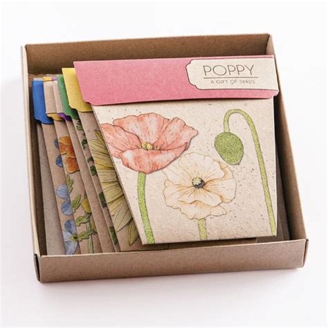 Seed T Packets Set Of 6 Hardtofind Ts Kraft T Boxes