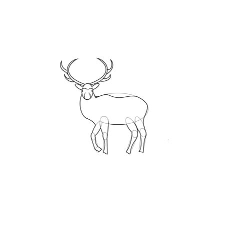 How To Draw An Elk In 5 Easy Steps Jae Johns