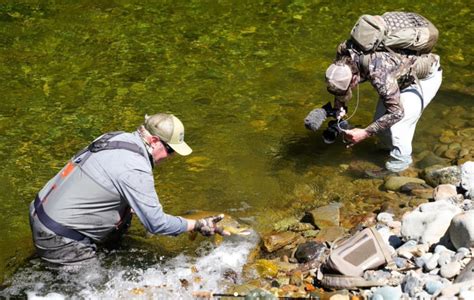 Angler Story Of The Week Latitude Guiding Mike Kirkpatrick Flylords Mag