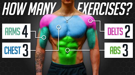 How Many Exercises Do You Need To Maximize Muscle Growth Youtube