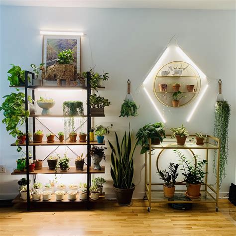 Plant Shelves With Grow Lights Growing Plants Indoors Can Make Your Home Beautiful But You