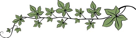 Free Simplicity Ivy Freehand Drawing Flat Design Png With