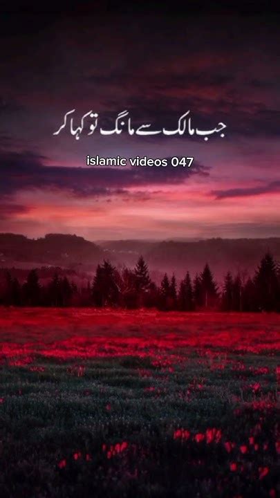 Mere Nabi Pak ﷺ Ne Farmaya Peer Ajmal Raza Qadri Islamicvideo Peerajmalrazaqadri Shorts