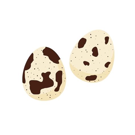 Premium Vector Quail Eggs Natural Birds Egg Flat Cartoon