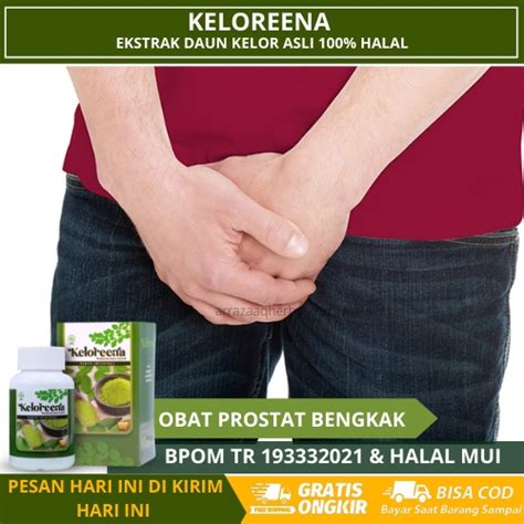 Jual Obat Herbal Prostat Bengkak Gangguan Prostat Radang Prostat