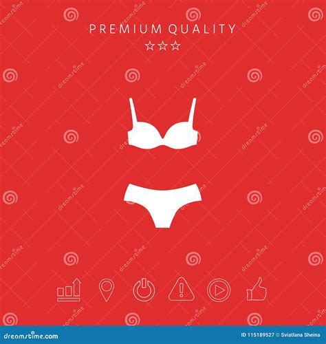 Sistema De La Ropa Interior O Del Traje De Ba O Bikini De Dos Piezas La Silueta Elemento Del