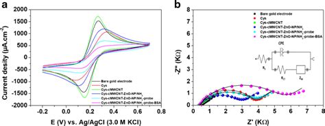 Cyclic Voltammograms A And Impedance Spectra B For Each Step Of