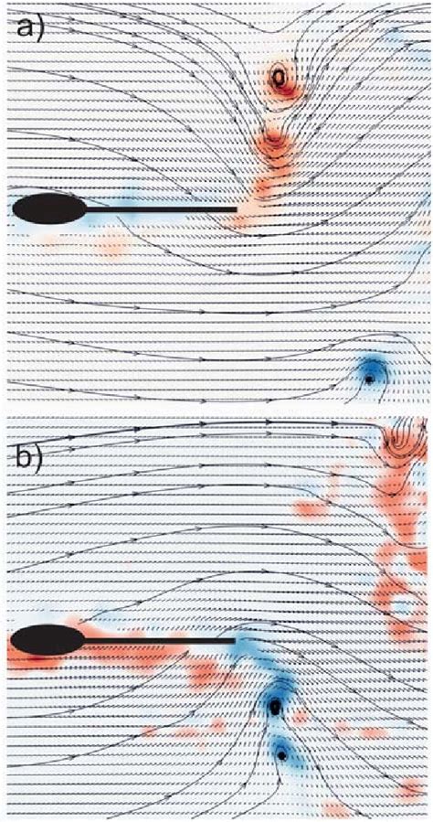 Vorticity Fields Streamlines And Velocity Vectors A Downstroke B