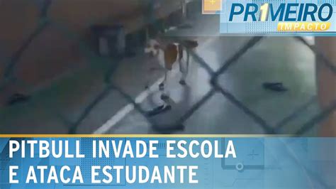 Pitbull invade escola e ataca aluno do 6º ano no Pará Primeiro