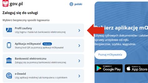 Epuap Logowanie Przez Profil Zaufany Krok Po Kroku