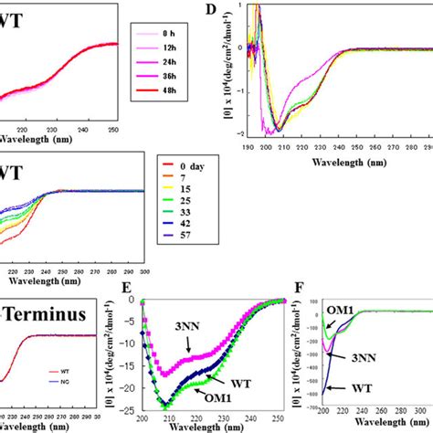 Structural Analysis By CD Spectra A CD Spectra Of WT Until 48 H CD