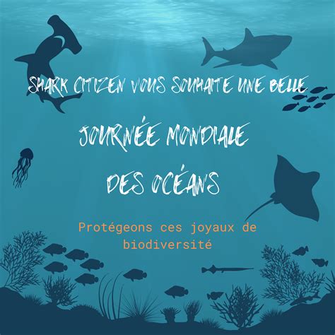 Journée Mondiale Des Océans 2022 Shark Citizen