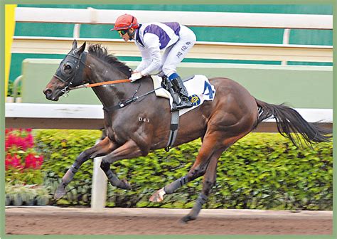 【文匯精選】印水紙潘頓搏殺格 香港文匯報