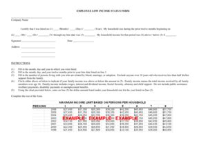 Fillable Online Dhcd Virginia Lmi Certification Form Dhcd Virginia