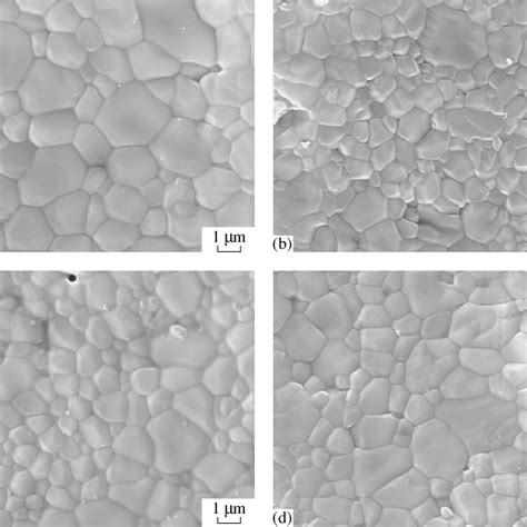 SEM Micrographs Of Fracture Surfaces Of HA Ceramics Prepared By