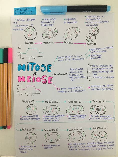 Mapa Mental De Meiose E Mitose FDPLEARN