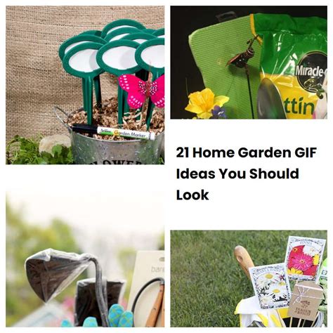 Home Garden Ideas You Should Look Sharonsable