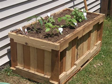 Reusing Old Pallets For Garden Projects 1001 Pallets Pallets Garden