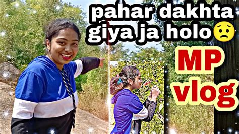 Pahar Dakhta Giya Ja Holo😟🐯🐅 Mp Vlog☺ Mistidas Vlog Mp Viral Youtube