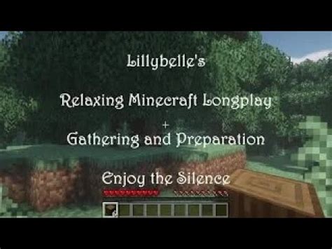 Relaxing Minecraft Longplay Gathering And Preparation Relax Study