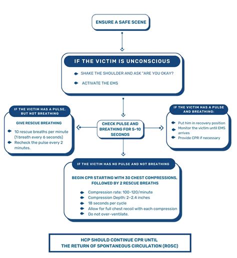 Adult BLS Importance Algorithm And Techniques