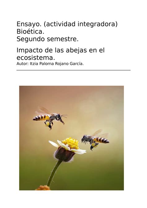 Ensayo Impacto De Las Abejas En El Ecosistema Ensayo Actividad