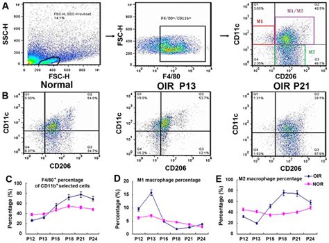 Flow Cytometry Analysis Of Balb C Mice Blood Should I Gate This Cells