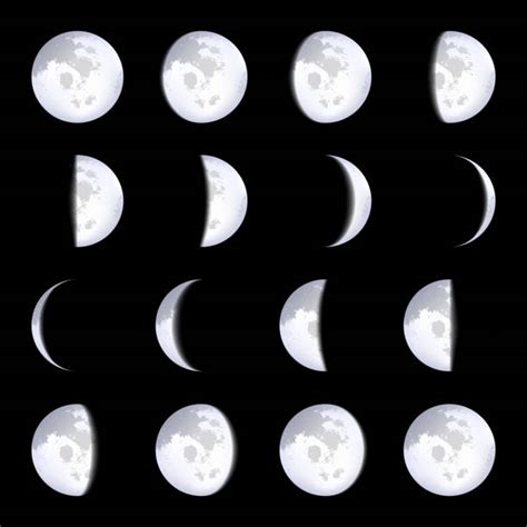 Moon Phases Cycle Illustrations, Royalty-Free Vector Graphics & Clip Art - iStock