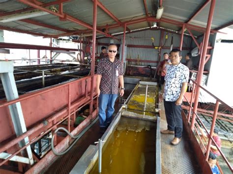 Aquafarm Manfaatkan Isi Perut Ikan Menjadi Pengganti Bio Solar