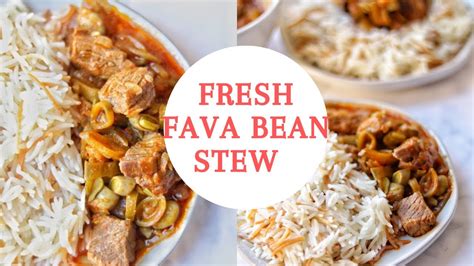 Fava Bean Stew Fresh Fava Bean Stew Fresh Broad Beans Broad Beans