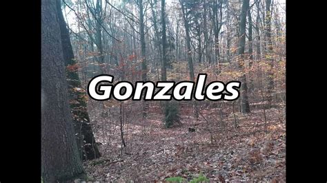 GONZALES as a family name its meaning and origin - YouTube