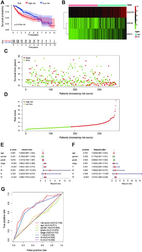 The Autophagy Related Risk Signature Prognostic Index Pi And