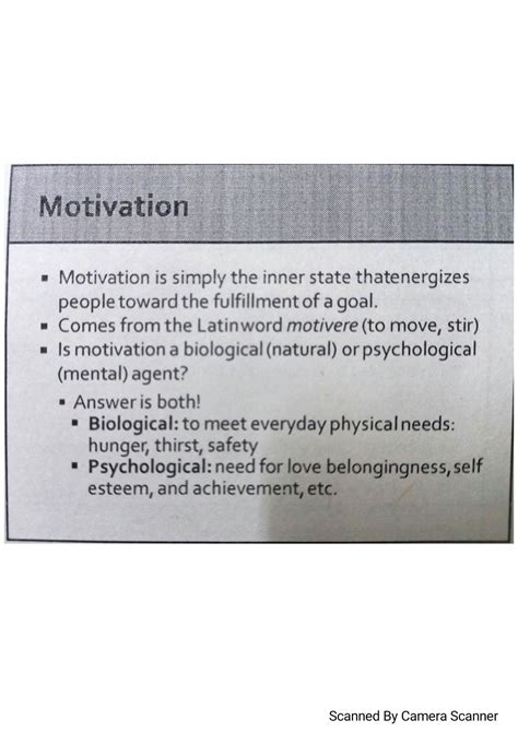 SOLUTION Motivation And Basic Human Needs Studypool