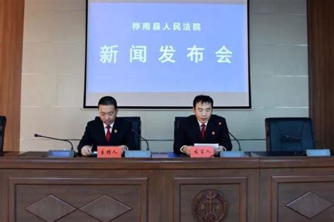 新闻发布会 桦南县人民法院召开刑事审判工作暨典型案例新闻发布会澎湃号·政务澎湃新闻 The Paper